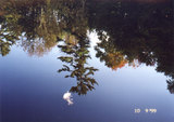 The sky reflected in still water