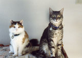 Kirby and Cammy sitting on the cedar chest